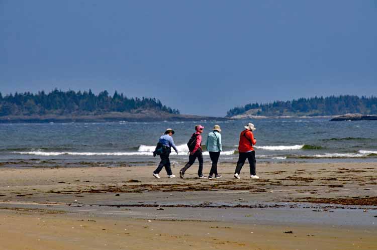 walkers on beach
